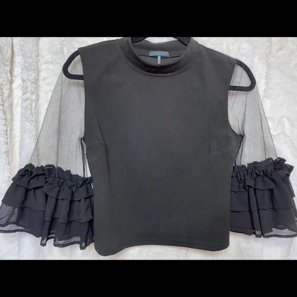 Fox’s European Boutique 🦊 Black/ Sheer Arm Shirt - Picture 2 of 3